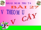 Bài giảng Vẽ theo mẫu: Vẽ cây - Mỹ thuật 4 - GV.Trần Mai Anh