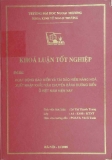 Khóa luận tốt nghiệp: Hoạt động bảo hiểm và tái bảo hiểm hàng hóa xuất nhập khẩu vận chuyển đường biển ở Việt Nam hiện nay