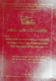 Khóa luận tốt nghiệp: Những thuận lợi và khó khăn khi thâm nhập thị trường Hoa Kỳ của các doanh nghiệp xuất khẩu hàng dệt may Việt Nam