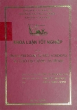 Khóa luận tốt nghiệp: Văn hoá kinh doanh các nước Scandinavia và cơ hội giao thương của Việt Nam