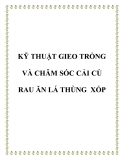 Kỹ thuật gieo trồng và chăm sóc cải củ