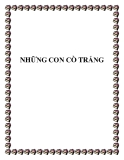 Truyện ngắn: Những con cò trắng