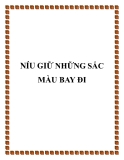 Truyện ngắn: Níu giữ những sắc màu bay đi