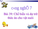 Bài giảng Công nghệ 7 bài 39: Chế biến và dự trữ thức ăn cho vật nuôi