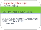 Báo cáo tiểu luận Anhydric Maleic