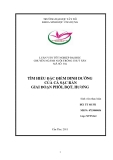 Luận văn nuôi trồng thủy sản: Tìm hiểu đặc điểm dinh dưỡng của cá sặc rằn giai đoạn phôi, bột, hương