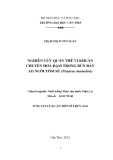 Luận án tiến sĩ thủy sản: Nghiên cứu quần thể vi khuẩn chuyển hóa đạm trong bùn đáy ao nuôi tôm sú (Penaeus monodon)