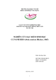 Luận văn nuôi trồng thủy sản: Nghiên cứu đặc điểm sinh học cá nanh heo (Botia Modesta Bleeker, 1865)