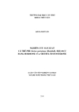 Luận văn cao học nuôi trồng thủy sản: Nghiên cứu sản xuất cá trê phi Clarias gariepinus (Burchell, 1822) đực bằng Hormone 17-α Methyltestosterone