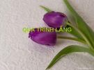 Bài giảng Quá trình lắng