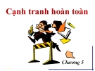 Bài giảng Kinh tế vi mô (ThS. Trần Nguyễn Minh Ái ) - Chương 5: Cạnh tranh hoàn toàn