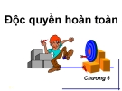 Bài giảng Kinh tế vi mô (ThS. Trần Nguyễn Minh Ái ) - Chương 6: Độc quyền hoàn toàn