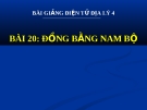 Bài giảng Địa lý 4 bài 20: Đồng bằng Nam Bộ