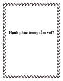 Truyện ngắn: Hạnh phúc trong tầm với?