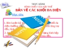 Bài giảng Công nghệ 8 bài 5: Bài tập thực hành - Đọc bản vẻ các khối đa diện