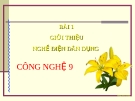 Bài 1: Giới thiệu về nghề điện dân dụng - Bài giảng điện tử Công  nghệ 9 - Hoàng Tuấn