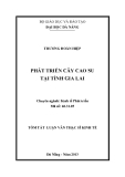 Tóm tắt luận văn thạc sĩ: Phát triển cây cao su tại tỉnh Gia Lai