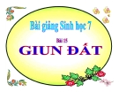 Bài giảng Sinh học 7 bài 15: Giun đất