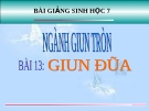 Bài giảng Sinh học 7 bài 13: Giun đũa