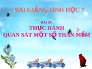 Bài giảng Sinh học 7 bài 20: Thực hành quan sát một số thân mềm