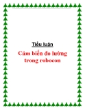 Tiểu luận: Cảm biến đo lường trong robocon