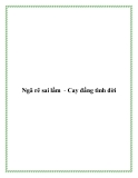 Ngã rẽ sai lầm - Cay đắng tình đời