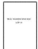 Câu hỏi ôn tập trắc nghiệm Sinh học lớp 10 có đáp án