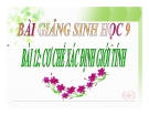 Bài giảng Cơ chế xác định giới tính - Sinh học 9 - GV. Ng.V.Tài