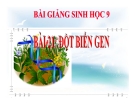 Bài giảng Sinh học lớp 9 bài 21:  Đột biến gen