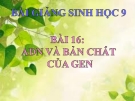 Bài giảng Sinh học 9 bài 16: ADN và bản chất của gen