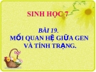 Bài giảng Sinh học 9 bài 19: Mối quan hệ giữa gen và tính trạng