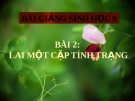 Bài giảng Sinh học 9 bài 2: Lai một cặp tính trạng