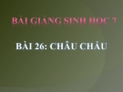 Bài giảng Sinh học 7 bài 26: Châu chấu