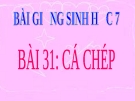 Bài giảng Sinh học 7 bài 31: Cá chép