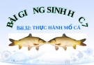 Bài giảng Sinh học 7 bài 32: Thực hành  mổ cá