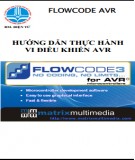 Hướng dẫn thực hành vi điều khiển AVR