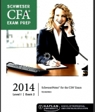 CFA Level 1 Schweser Notes 2014 - Book 2