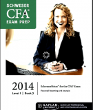 CFA Level 1 Schweser Notes 2014 - Book 3