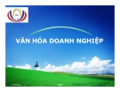 Bài giảng Văn hóa doanh nghiệp (Nguyễn Quang Chương)