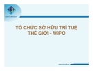 Tổ chức sở hữu trí tuệ thế giới - WIPO