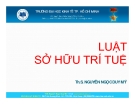 Bài giảng Luật sở hữu trí tuệ - TS Nguyễn Ngọc Duy Mỹ
