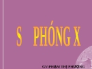 Bài giảng Phóng xạ