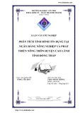 Luận văn: Phân tích tình hình tín dụng tại ngân hàng nông nghiệp và phát triển nông thôn huyện Cao Lãnh tỉnh Đồng Tháp