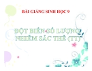 Bài giảng Sinh học 9 bài 24: Đột biến số lượng nhiễm sắc thể (tiếp theo)