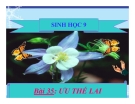 Bài giảng Sinh học 9 bài 35: Ưu thế lai