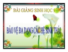 Bài giảng Sinh học 9 bài 60: Bảo vệ đa dạng các hệ sinh thái