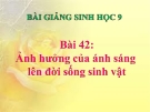 Bài giảng Sinh học 9 bài 42: Ảnh hưởng của ánh sáng lên đời sống sinh vật