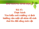 Bài giảng Sinh học 9 bài 45: Thực hành tìm hiểu môi trường và ảnh hưởng của một số nhân tố sinh thái lên đời sống sinh vật