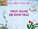 Bài giảng Sinh học 9 bài 51: Thực hành hệ sinh thái