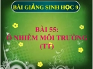 Bài giảng Sinh học 9 bài 55: Ô nhiễm môi trường ( tiếp theo)